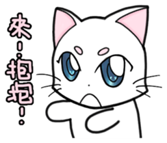 White cat's daily sticker #11144823