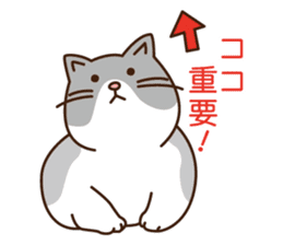 Cat gesture sticker 2 sticker #11146025