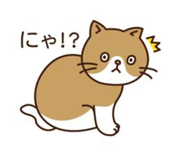 Cat gesture sticker 2 sticker #11146039
