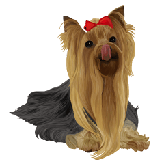 I love! Yorkshire terrier Vol.2