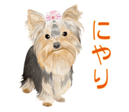 I love! Yorkshire terrier Vol.2 sticker #11153961
