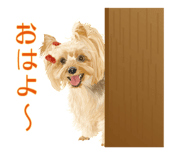 I love! Yorkshire terrier Vol.2 sticker #11153962