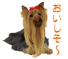 I love! Yorkshire terrier Vol.2 sticker #11153964