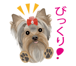 I love! Yorkshire terrier Vol.2 sticker #11153965