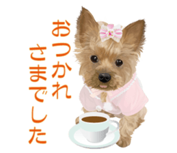 I love! Yorkshire terrier Vol.2 sticker #11153967