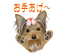 I love! Yorkshire terrier Vol.2 sticker #11153969