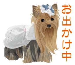 I love! Yorkshire terrier Vol.2 sticker #11153971