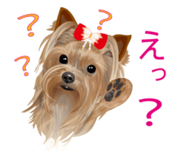 I love! Yorkshire terrier Vol.2 sticker #11153974