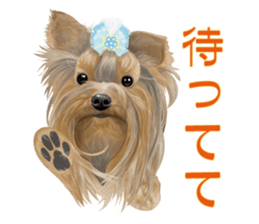 I love! Yorkshire terrier Vol.2 sticker #11153978
