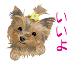 I love! Yorkshire terrier Vol.2 sticker #11153979