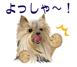 I love! Yorkshire terrier Vol.2 sticker #11153981