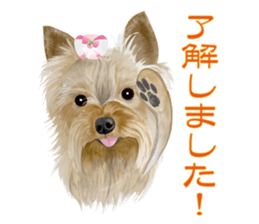 I love! Yorkshire terrier Vol.2 sticker #11153983