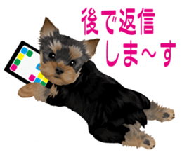 I love! Yorkshire terrier Vol.2 sticker #11153985