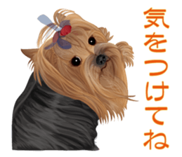 I love! Yorkshire terrier Vol.2 sticker #11153986