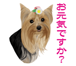 I love! Yorkshire terrier Vol.2 sticker #11153990