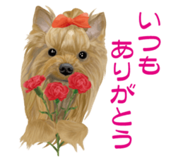 I love! Yorkshire terrier Vol.2 sticker #11153991