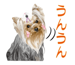 I love! Yorkshire terrier Vol.2 sticker #11153992