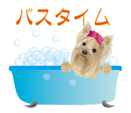 I love! Yorkshire terrier Vol.2 sticker #11153993