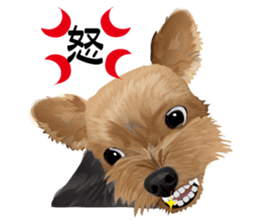 I love! Yorkshire terrier Vol.2 sticker #11153994