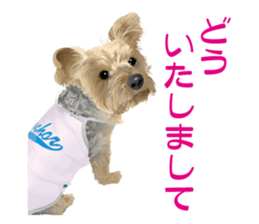 I love! Yorkshire terrier Vol.2 sticker #11153996