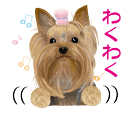 I love! Yorkshire terrier Vol.2 sticker #11153998