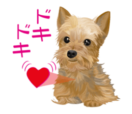 I love! Yorkshire terrier Vol.2 sticker #11153999