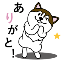 Lukewarm! Husky dog 3 sticker #11155082