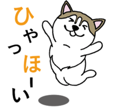 Lukewarm! Husky dog 3 sticker #11155083