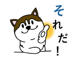 Lukewarm! Husky dog 3 sticker #11155086