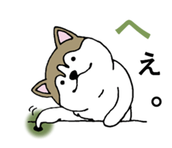 Lukewarm! Husky dog 3 sticker #11155091
