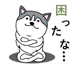 Lukewarm! Husky dog 3 sticker #11155093