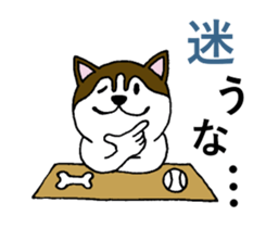 Lukewarm! Husky dog 3 sticker #11155094