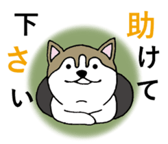 Lukewarm! Husky dog 3 sticker #11155095