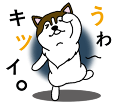 Lukewarm! Husky dog 3 sticker #11155098