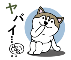 Lukewarm! Husky dog 3 sticker #11155099