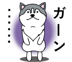Lukewarm! Husky dog 3 sticker #11155101