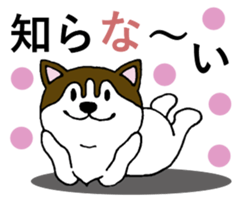 Lukewarm! Husky dog 3 sticker #11155102