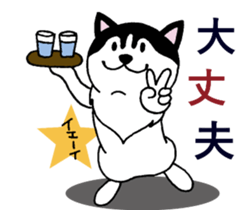 Lukewarm! Husky dog 3 sticker #11155104