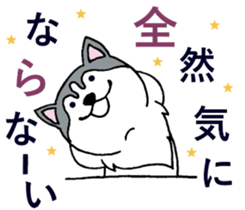 Lukewarm! Husky dog 3 sticker #11155109