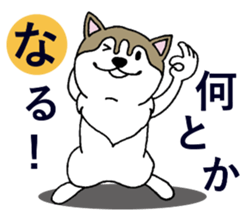 Lukewarm! Husky dog 3 sticker #11155111