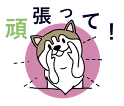 Lukewarm! Husky dog 3 sticker #11155115