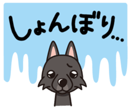 iinu - Schipperke sticker #11156404