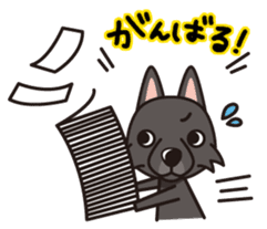 iinu - Schipperke sticker #11156410