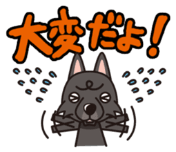 iinu - Schipperke sticker #11156416