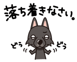 iinu - Schipperke sticker #11156442
