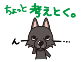 iinu - Schipperke sticker #11156458