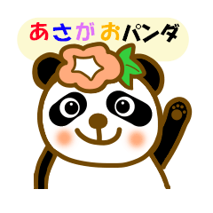 Morning glory flowers panda