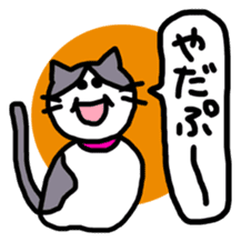 sakaguchi asari sticker #11158921