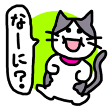 sakaguchi asari sticker #11158923