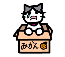 sakaguchi asari sticker #11158939